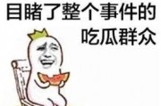 娱乐吃瓜蜀黍广告语是什么,揭秘娱乐圈那些事儿